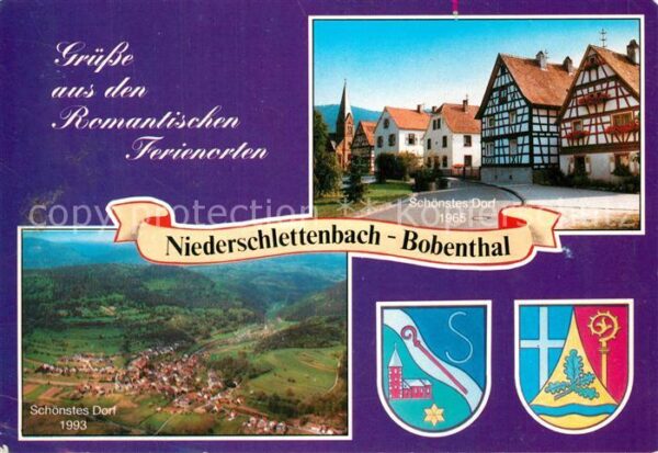 Niederschlettenbach Bobenthal Naturpark Pfälzer Wald Fliege