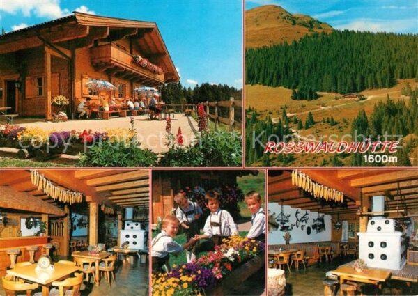Hinterglemm Saalbach Rosswaldhütte Gaststube Kamin Landschaf