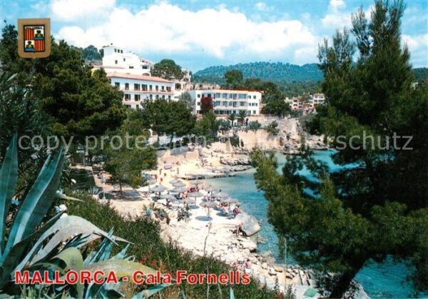 Cala Fornells Hotels Bucht Badestrand