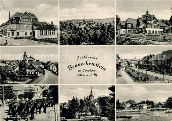 Benneckenstein Harz Berghotel Teichdamm Morgenaustrieb Kühe