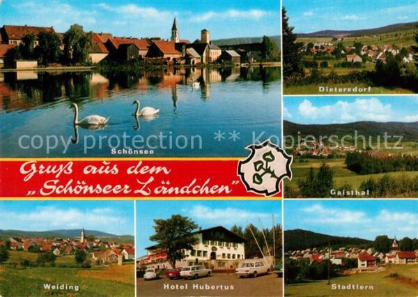 Schoensee und Umgebung Schönseer Ländchen Schwane