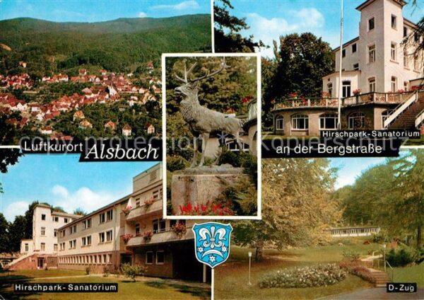 Alsbach Bergstrasse Panorama Luftkurort Hirschpark Sanatori