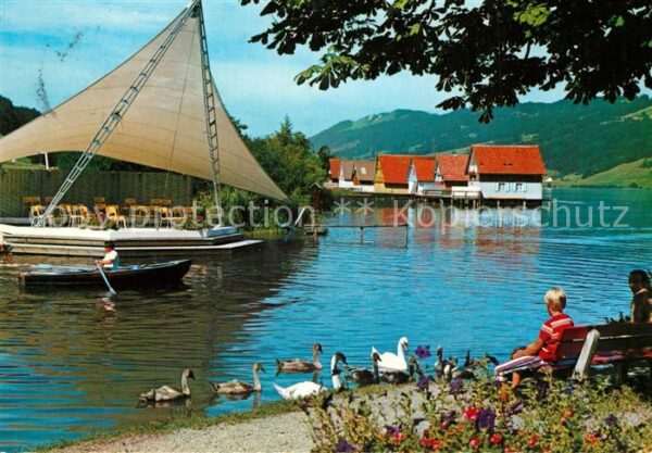 Immenstadt Allgaeu Uferpartie am Alpsee Schwäne