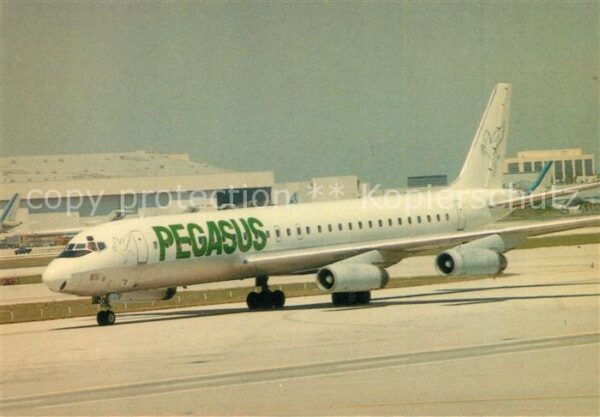 Flugzeuge Zivil Rich International Pegasus DC-8
