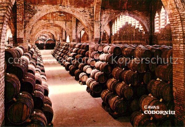 Wein Cavas Codorniu Weinkeller Bodega