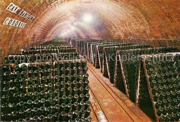 Wein Cavas Codorniu Botellas en Pupitre