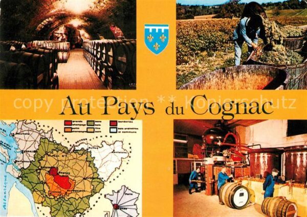 Alkohol Cognac Chais Vendanges Distillerie