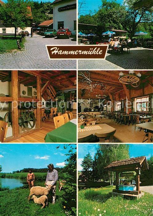 Lautenbach Fichtenau Gasthof Hammermühle