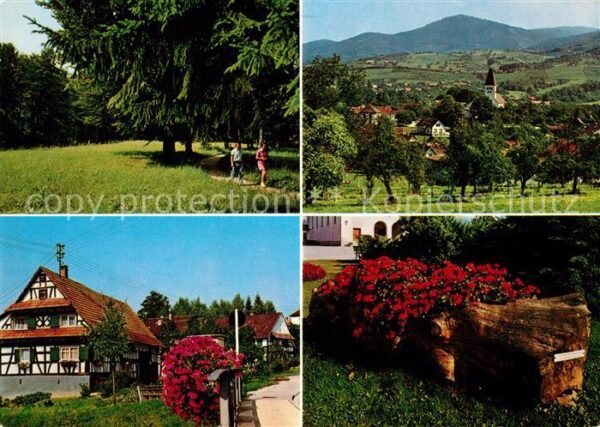 Obersasbach