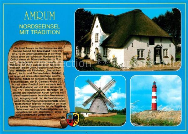 Amrum Windmühle Leutturm