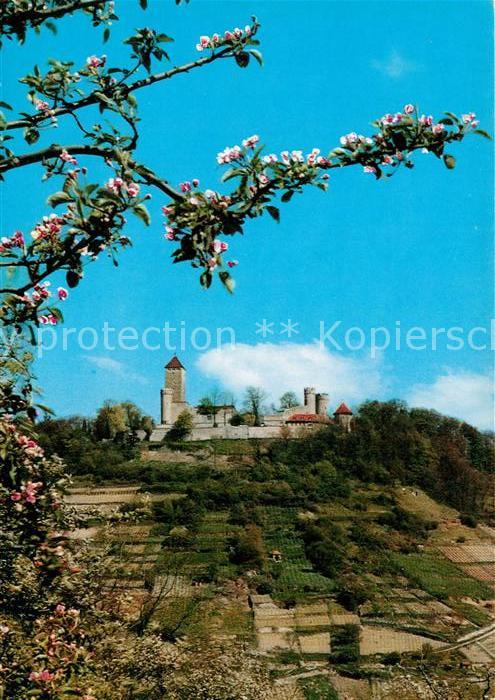 Heppenheim Bergstrasse Starkenburg im Frühling Baumblüte