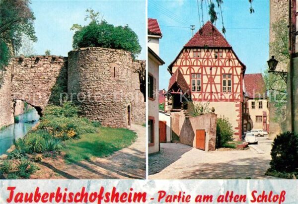 Tauberbischofsheim Altes Schloß Fachwerk Stadtmauer Landsc