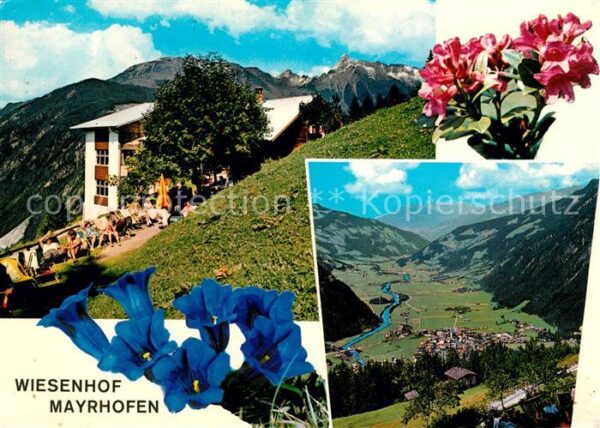 Mayrhofen Zillertal Wiesenhof