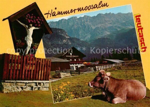 Leutasch Hämmermoosalm im Gaistal