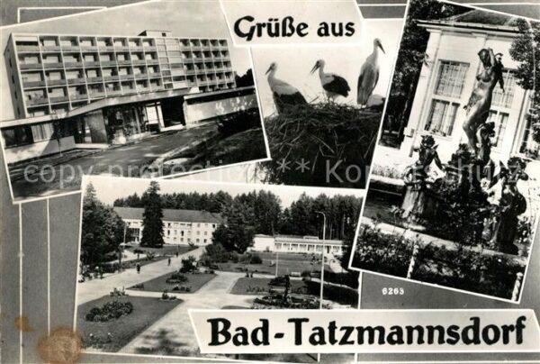 Bad Tatzmannsdorf Burgenland Herz Frauen und Rheumaheilbad Brunnenfi
