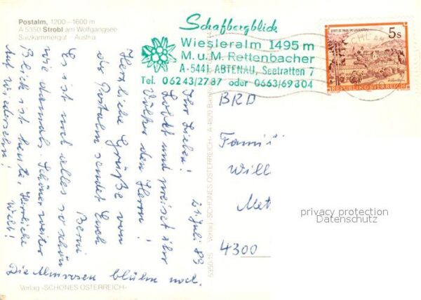 Strobl Wolfgangsee Postalm Kuh Pferde – Bild 2