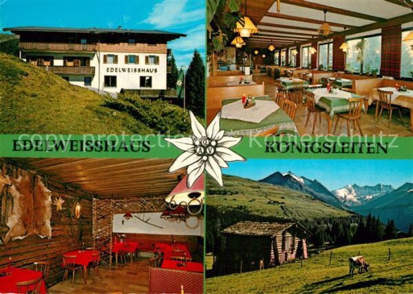 Wald Pinzgau Edelweißhaus Königsleiten