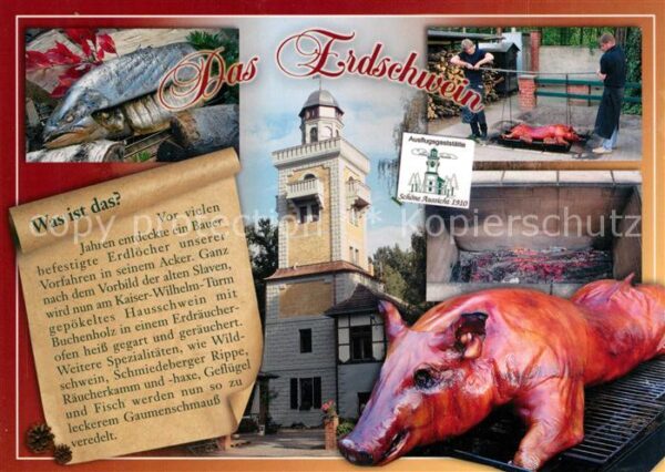 Bad Schmiedeberg Der Kaiser Wilhelm Turm Das Erdschwein