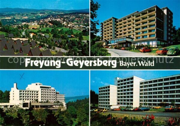 Geyersberg Wald