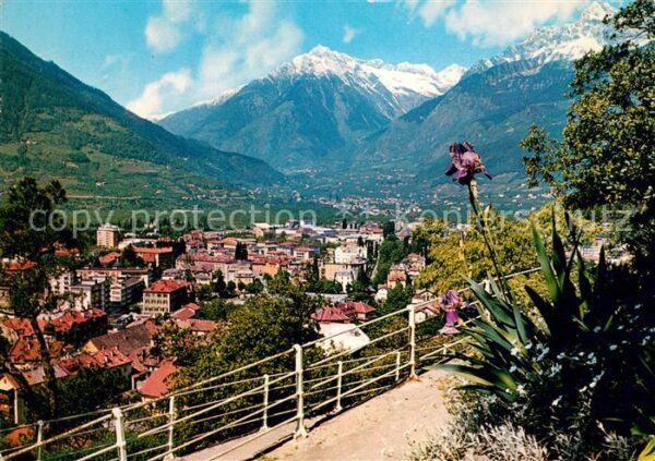Merano Meran Panorama