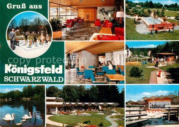 Koenigsfeld Schwarzwald Schwäne Schach Wassertreten