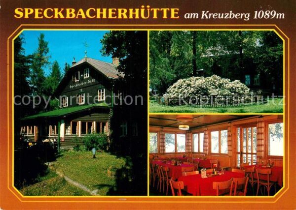 Breitenstein Niederoesterreich Speckbacherhütte 90jähriger Rhododendro