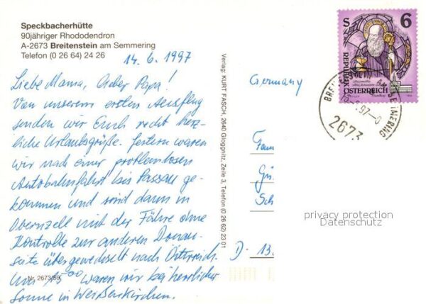 Breitenstein Niederoesterreich Speckbacherhütte 90jähriger Rhododendro – Bild 2