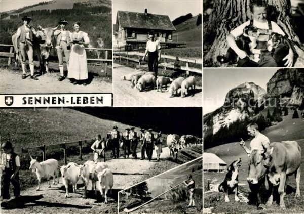 Helvetia Schweiz Sennen Leben