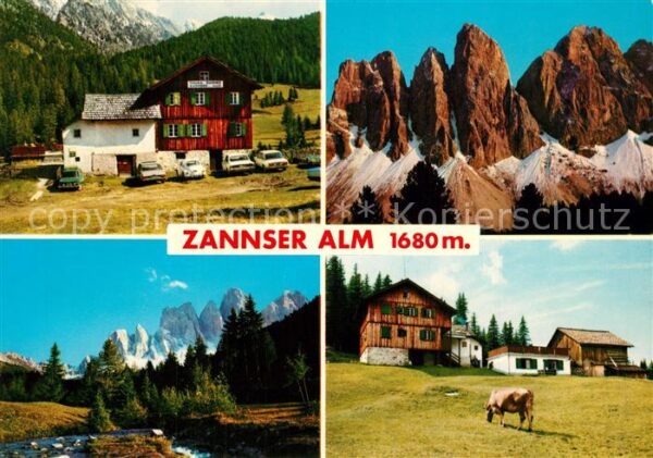 Villnoestal Zannser Alm Drei Zinnen Kuh