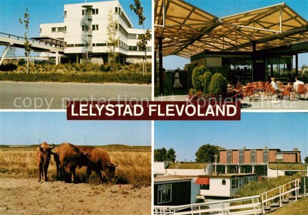 Lelystad Gebäude Wisente Restaurant Terrasse Hau