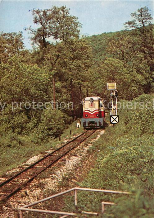 Budapest Uttörövasut Pionierbahn Eisenbahn