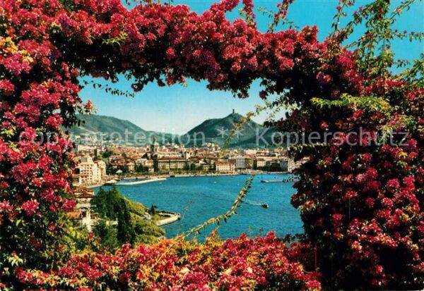 Como Lago di Como Blumenranken Durchblick zur Stadt