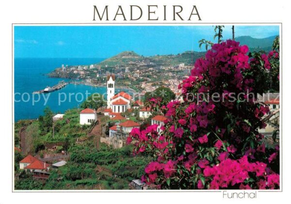 Funchal Panorama Blick von Westen Blumen