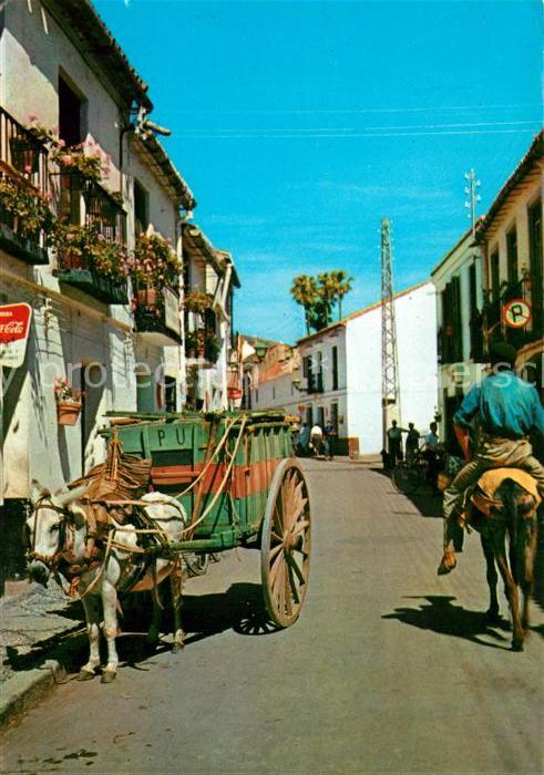 Alicante Calle tipica Lasttiere