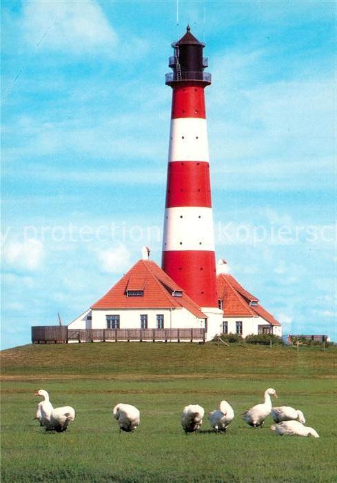 Westerhever Leuchtturm Gänse