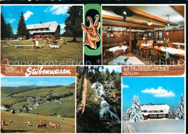Todtnauberg Berggasthaus Stübenwasen Feldberggebiet