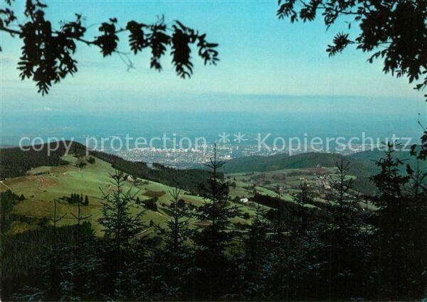 Horben Breisgau Panorama Rheinebene