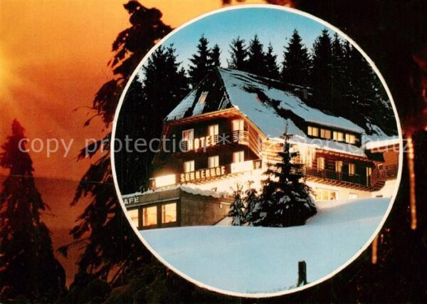 Hinterzarten Hotel Sonnenhof Terrassencafe
