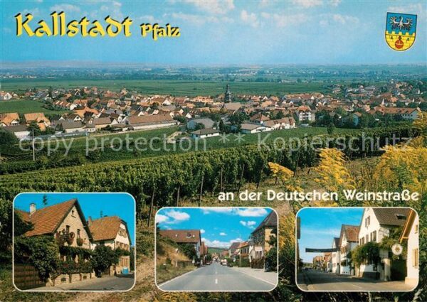 Kallstadt Rheinland-Pfalz Panorama Rebland