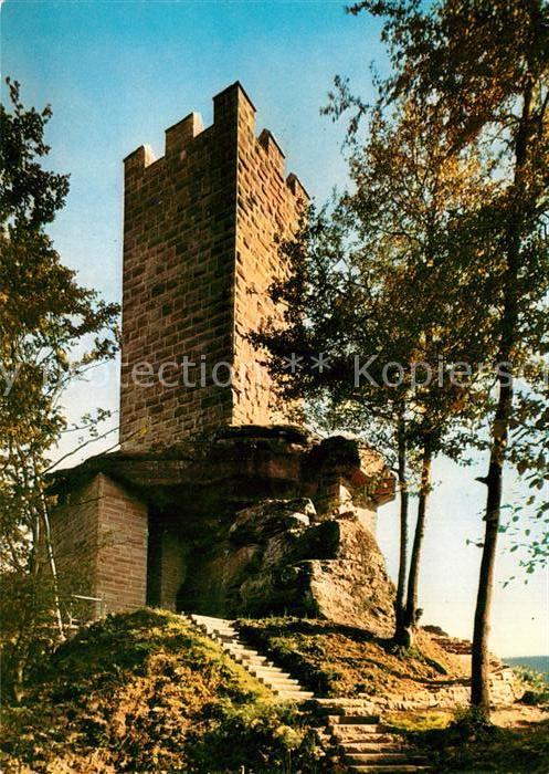 Elmstein Burgruine Erfenstein