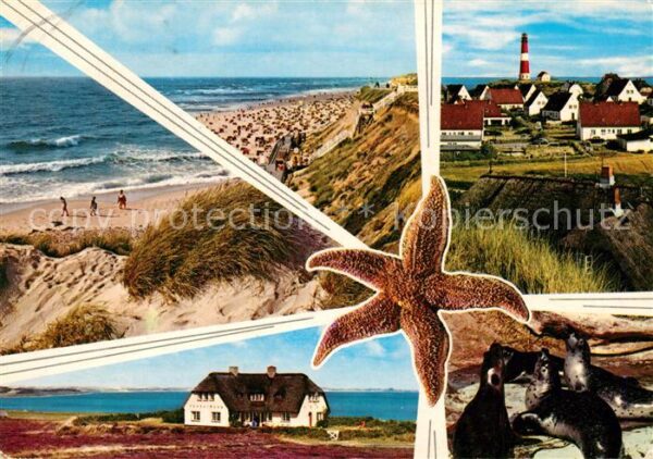 Insel Sylt Strand Friesenhaus Leuchtturm