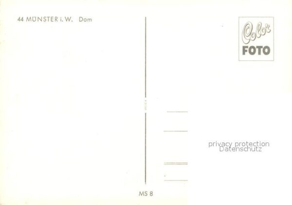 Muenster Westfalen Dom – Bild 2