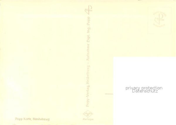 Foto Popp Nr. Schneerosen – Bild 2