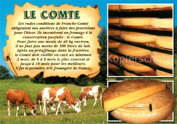 Kaese Kaeserei Le Comte Kühe