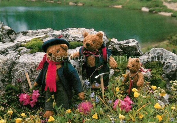 Teddy Teddybaer Teddy-bear Mountain Bears
