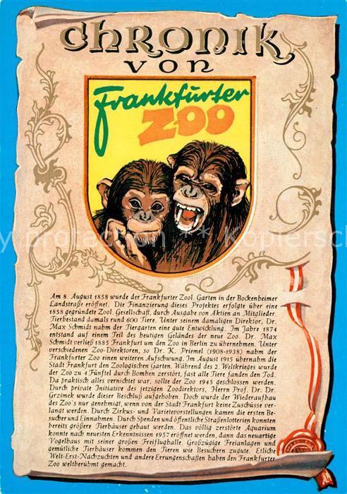 Affen Chronik Frankfurter Zoo