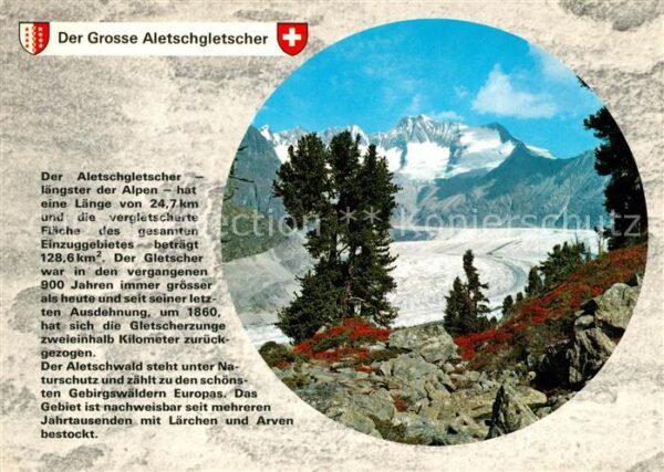 Gletscher Aletschgletscher