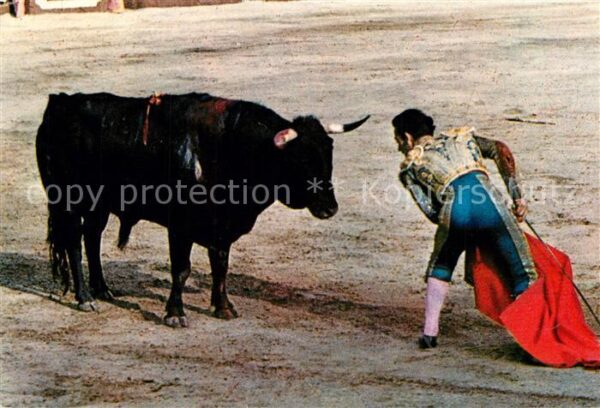 Stierkampf Corrida de Toros