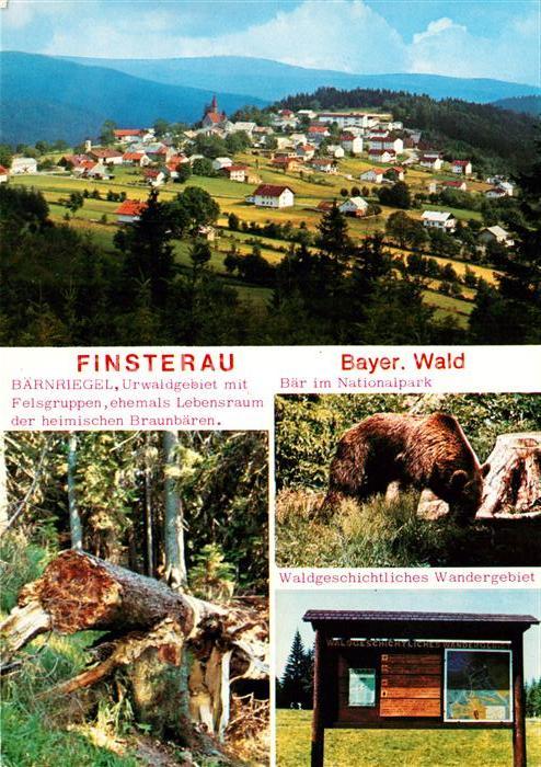 Finsterau Bayerischer Wald Bärnriegel Urwaldgebiet mit Felsgruppen