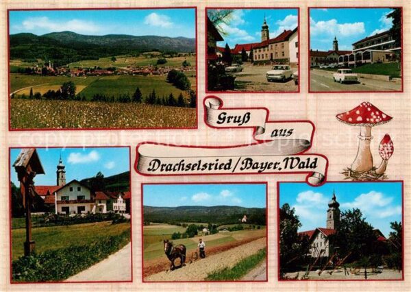 Drachselsried Panorama Kirche Hotel Wegekreuz Pferdep